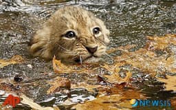 성해동의 프로필 이미지