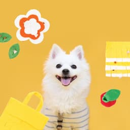 박지현의 프로필 이미지