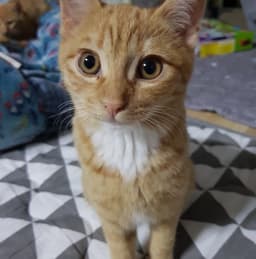 김용만의 프로필 이미지