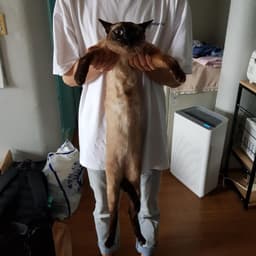 정원준의 프로필 이미지