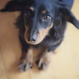 박지현의 프로필 이미지