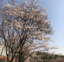 안준용의 프로필 이미지