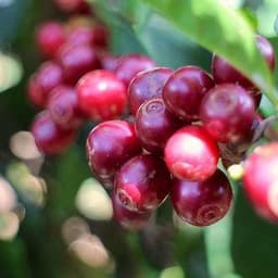 황슬기의 프로필 이미지
