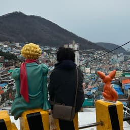 선미의 프로필 이미지