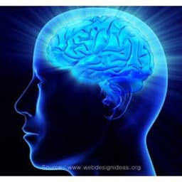 두두뇌운동의 프로필 이미지