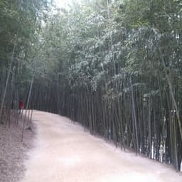 강동규의 프로필 이미지