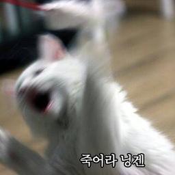 이송의 프로필 이미지