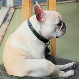 함상화의 프로필 이미지
