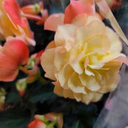 정한나의 프로필 이미지