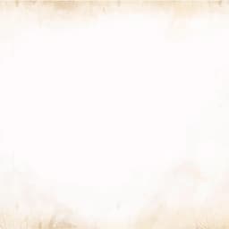 최정은의 프로필 이미지