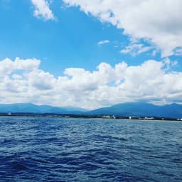 박필석의 프로필 이미지