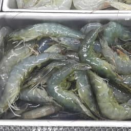 하명균의 프로필 이미지