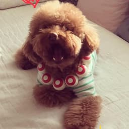 김지현의 프로필 이미지