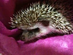 박해유의 프로필 이미지