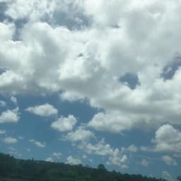 장미나의 프로필 이미지