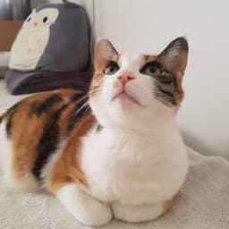 조현정의 프로필 이미지