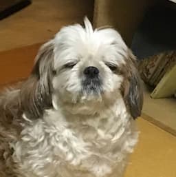 김수양의 프로필 이미지
