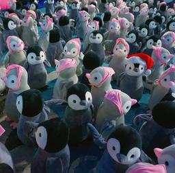 사용자 프로필 1