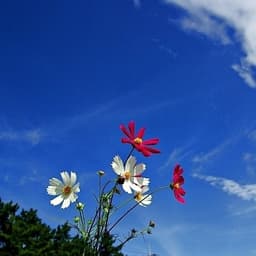 서문숙의 프로필 이미지