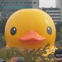 차준호의 프로필 이미지