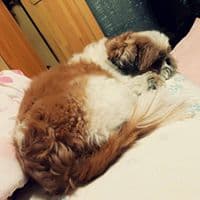 양주석의 프로필 이미지