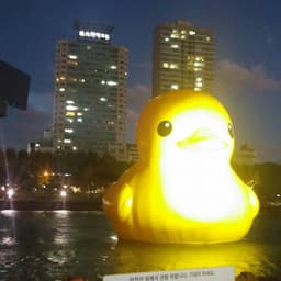 주현강의 프로필 이미지
