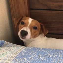 사용자 프로필 1