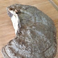 문상훈의 프로필 이미지