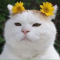 서재현의 프로필 이미지