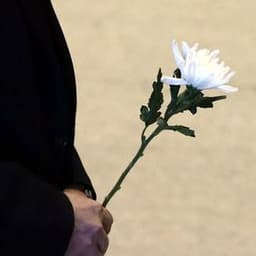 이해은의 프로필 이미지