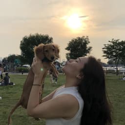 김혜수의 프로필 이미지