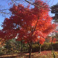 사용자 프로필 1