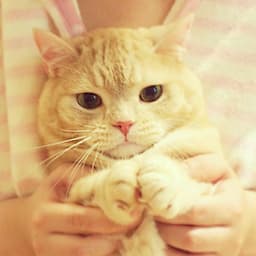 soomin의 프로필 이미지