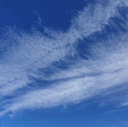 이은경의 프로필 이미지