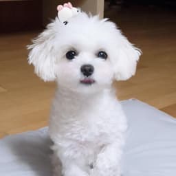 김창민의 프로필 이미지