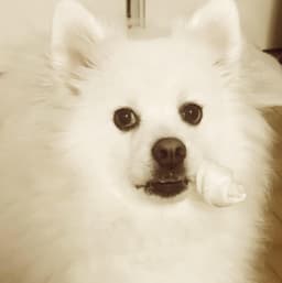 오인석의 프로필 이미지