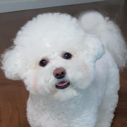 이지수의 프로필 이미지