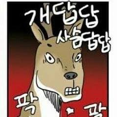 현규남의 프로필 이미지