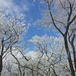 박은주의 프로필 이미지