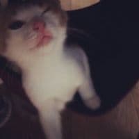 손민주의 프로필 이미지