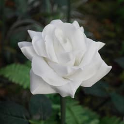 박승윤의 프로필 이미지