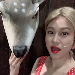 김고은의 프로필 이미지