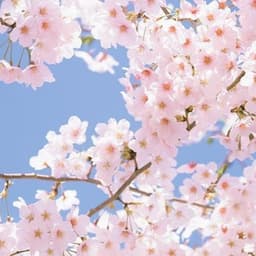 김예본의 프로필 이미지