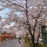 김부찬의 프로필 이미지