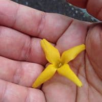 심희정의 프로필 이미지