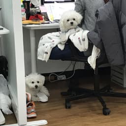 김두리의 프로필 이미지