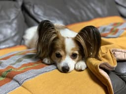 이창민의 프로필 이미지