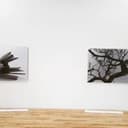 उपयोगकर्ता प्रोफ़ाइल 1