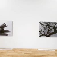 김대건의 프로필 이미지