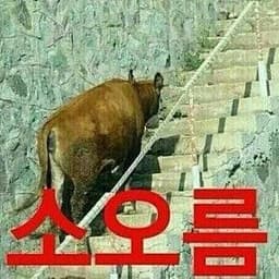 비공개의 프로필 이미지